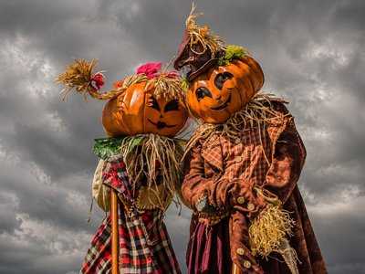 Aouta - pumpkin / Semaine de Samain