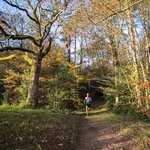 Trail avec Dévrig Bouillet / Galoupa