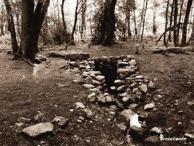 Fontaine de Barenton en Brocéliande