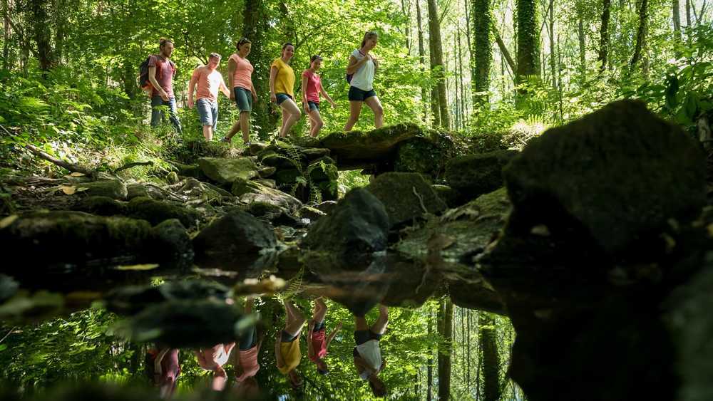 Groupe de marcheurs accompagnés par un guide conteur dans la forêt de Brocéliande