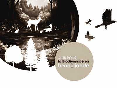 Fêtons la biodiversité en Brocéliande