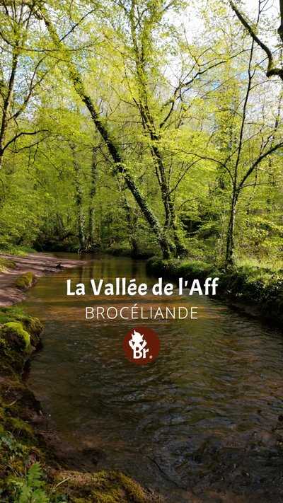 Vallée de l'Aff en Brocéliande