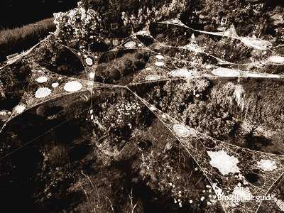 Exposition : Couronnement par Florence de Vries au Jardin Kalon Gwez