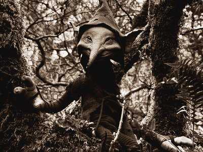Elfenwild