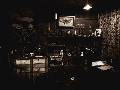 Cabinet de curiosités par Camille Renversade