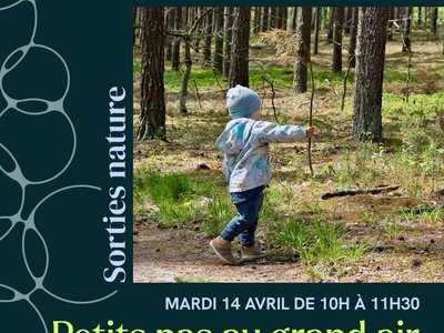 Sortie nature : Petits pas au grand air