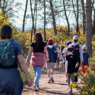 Balade sur les hauteurs du Val sans Retour en Brocéliande