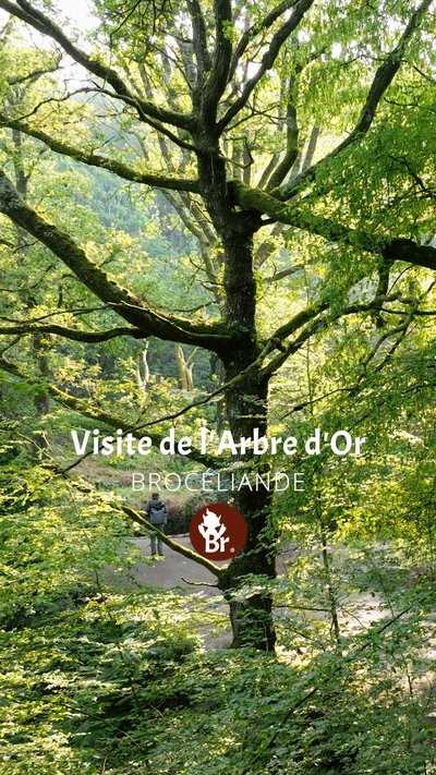 Visite de l'Arbre d'Or