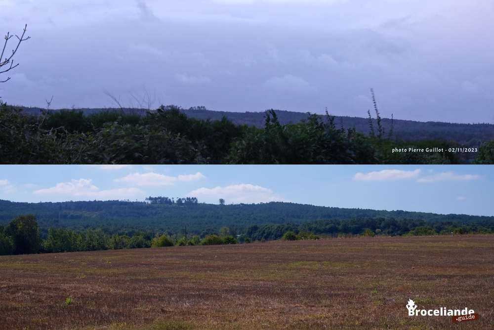 Après le passage de la tempête Ciarán, une vue avant/après de la colline de Brocéliande sans le Hêtre de Ponthus