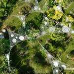 Exposition : Couronnement par Florence de Vries au Jardin Kalon Gwez