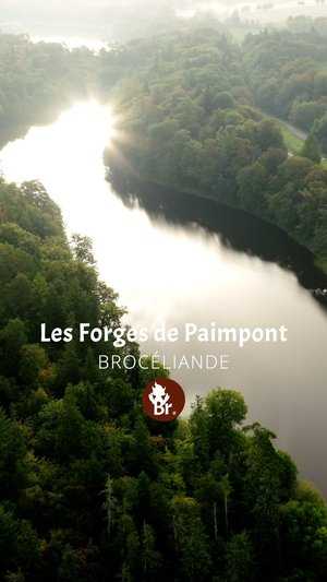 Les Forges de Paimpont / Shorts