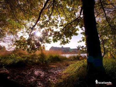 L'abbaye - Tour de l'étang de Paimpont
