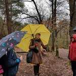 Marie Tanneux en forêt de Brocéliande un jour de pluie