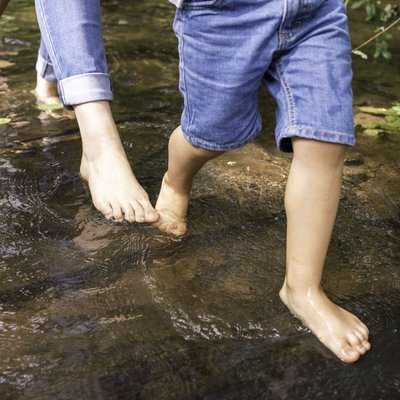 Réveille tes pieds ! Jardins de Brocéliande