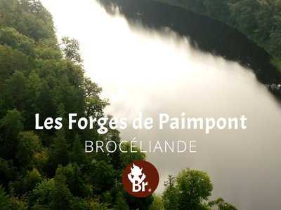 Les Forges de Paimpont / Shorts