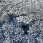 Neige - Chêne des Hindrés