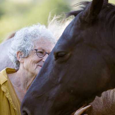 Françoise Le Bolloch avec ses chevaux à la Claie des landes