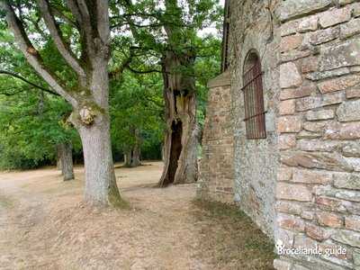 Chênes et chapelles de Kernéant