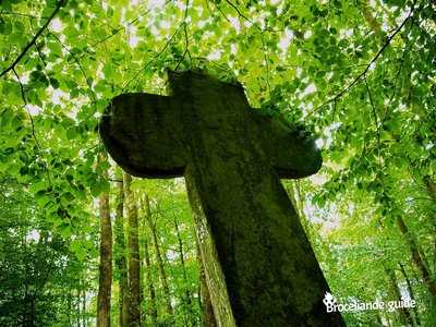 Croix Saint Judicaël à Paimpont